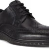 ECCO Men's ST.1 Hybrid Lite Wingtip Brogue -Sports Shoes Discount Shop ecco mens st 1 hybrid lite wingtip brogue black 83720411001 24715.1597881417