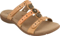 Taos Festive -Sports Shoes Discount Shop taos womens festive honey multi fst 13007h honm 85245.1593186873