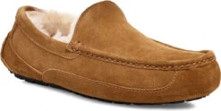 UGG Men's Ascot 15 UGG Men's Ascot -Sports Shoes Discount Shop ugg mens ascot chestnut 1101110 che 97799.1696284874