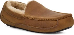 UGG Men's Ascot Leather -Sports Shoes Discount Shop ugg mens ascot tan 1103889 tan 51299.1696284377
