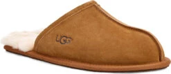 Sports Shoes Discount Shop -Sports Shoes Discount Shop ugg mens scuff chestnut 1101111 che 35824.1660222347
